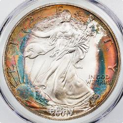 $1 2001-P American Silver Eagle PCGS MS67 Toned