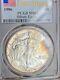 1986 $1 American Silver Eagle Pcgs Ms69 Flag First Strike Label Beautiful Toning