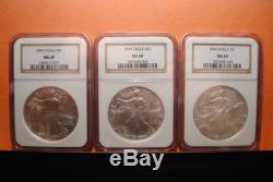 1986-2008 American Silver Eagles (23), All NGC MS69, All Gold Label