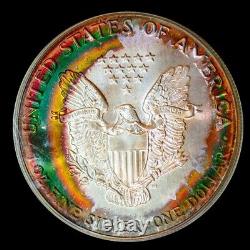 1986-p Pcgs Ms68 Silver Eagle $ Monster! Vibrant Superb Double Side Rainbow