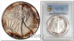 1987 AMERICAN SILVER EAGLE (ASE) $1 COIN, PCGS MS69, Gold Shield, Great Toning