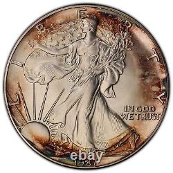 1987 AMERICAN SILVER EAGLE (ASE) $1 COIN, PCGS MS69, Gold Shield, Great Toning