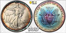1987 American Silver Eagle MS67 Rainbow Toned PCGS +Video