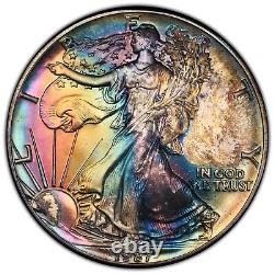 1987 American Silver Eagle PCGS MS65 Lovely Toning