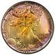 1987 American Silver Eagle PCGS MS68 Sweet Gold Rainbow Tone