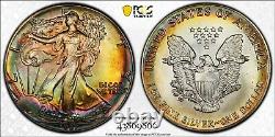 1987 MS67 PCGS Rainbow Toned Silver Eagle Goldshield/Trueview