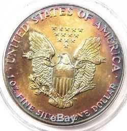 1987 Toned American Silver Eagle Dollar $1 ASE PCGS MS65 Rainbow Toning Coin