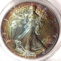 1987 Toned American Silver Eagle Dollar $1 ASE PCGS MS65 Rainbow Toning Coin