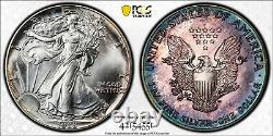 1988 AMERICAN SILVER EAGLEPCGS MS66Stunning Toning! LQQK