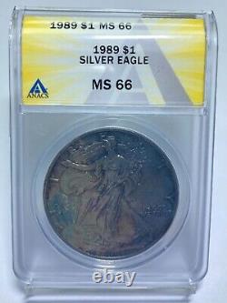1989 $1 American Silver Eagle ANACS MS 66 Toned