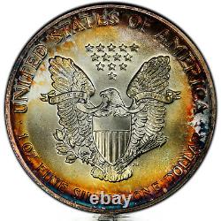 1989 $1 American Silver Eagle Dollar 1oz PCGS MS67 PERIPHERAL RAINBOW TONES