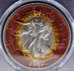 1989 American Silver Eagle Pcgs Certified Ms 67 Mint State Monster Color (347)