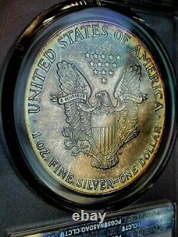 1989 American Silver Eagle PCGS MS66 Rainbow TONING
