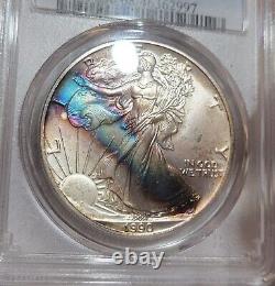 1990 American Silver Eagle PCGS MS68 RARELY SEEN Rainbow Strip Toning with VIDEO
