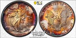 1990 PCGS/MS66 Monster Toned American Silver Eagle