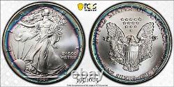 1991 ASE American Silver Eagle $1 PCGS MS67 Colorful Rainbow PCI Toning