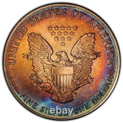 1991 American Silver Eagle PCGS MS68 Beastly Toned Double Sided Rainbow Toning