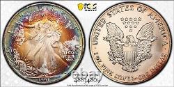 1991 American Silver Eagle PCGS MS68 Striking Toning