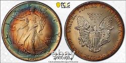 1991 MS67 Silver Eagle Rainbow Toning PCGS +Video
