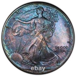 1992 American Silver Eagle Monster Toned PCGS MS68 Blueberry Toning Purple Haze