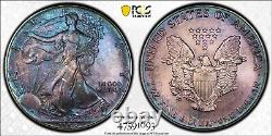 1992 American Silver Eagle Monster Toned PCGS MS68 Blueberry Toning Purple Haze