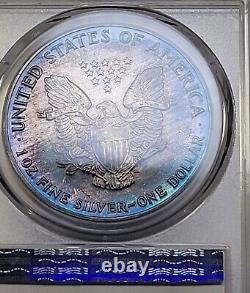 1992 American Silver Eagle Monster Toned PCGS MS69