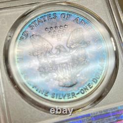 1992 American Silver Eagle PCGS MS66 1oz Aqua Toned Registry Coin $1 ASE TV