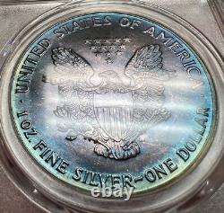 1992 American Silver Eagle PCGS MS66 1oz Aqua Toned Registry Coin $1 ASE TV