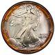 1992 American Silver Eagle PCGS MS66 Rainbow Toned Ex. PCI Toning