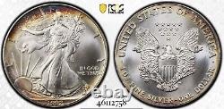 1992 MS 69 American Silver Eagle 1 oz Rainbow Toned PCGS Certified Trueview