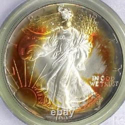 1993 $1 American Silver Eagle PCGS MS 67 Monster Toned