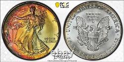 1993 American Silver Eagle PCGS MS68 Monster Rainbow Toning PCGS Trueview