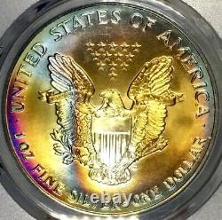 1993-P American Silver Eagle PCGS MS68 Vibrant Color Rainbow Toned