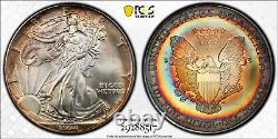 1994 ASE American Silver Eagle $1 PCGS MS66 BEST OF THE BEST PCI Rainbow Toning