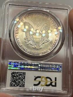 1994 American Silver Eagle Toned ASE 1oz PCGS MS65 Beautiful Rainbow Color