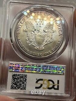 1994 American Silver Eagle Toned ASE 1oz PCGS MS65 Beautiful Rainbow Color