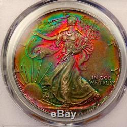 1995 American Silver Eagle PCGS MS63 Monster Rainbow Toning