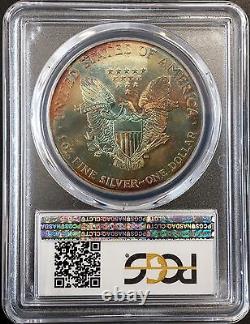 1995 American Silver Eagle certified MS 67 by PCGS! INCREDIBLE TONING! WOW