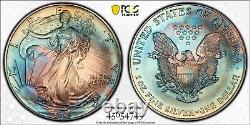 1995 MS68 American Silver Eagle Rainbow Toned PCGS +Video
