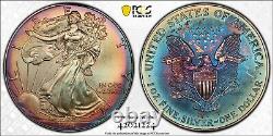 1996 Silver American Eagle Dual Sided Rainbow Toned PCGS MS66 Key Date