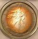 1996 Silver American Eagle/PCGS-MS67 / Very Rare Toning/ Rare Date/ #1015308017