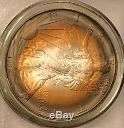 1996 Silver American Eagle/PCGS-MS67 / Very Rare Toning/ Rare Date/ #1015308017