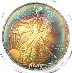 1997 Toned American Silver Eagle Dollar $1 ASE PCGS MS67 Rainbow Toning Coin