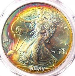 1998 Toned American Silver Eagle Dollar $1 ASE PCGS MS66 Rainbow Toning Coin