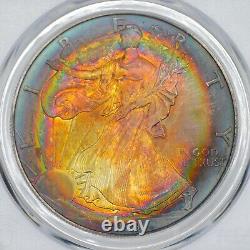 1999 American Silver Eagle PCGS MS67 Reverse Strike Through Error- Lovely Toning