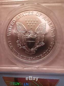 2000 Silver American Eagle MS-70 Free To Look Beautiful Coin