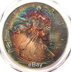 2000 Toned American Silver Eagle Dollar $1 ASE PCGS MS68 Rainbow Toning Coin