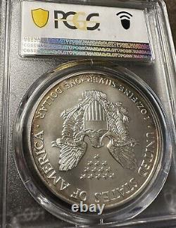 2001 American Silver Eagle PCGS MS-66- Obv. & Rev. Rainbow Toning