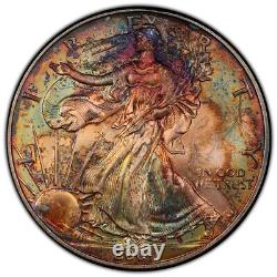 2001 American Silver Eagle PCGS MS66 Monster Rainbow Toned Double Toning Coin