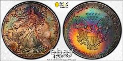 2001 American Silver Eagle PCGS MS66 Monster Rainbow Toned Double Toning Coin
